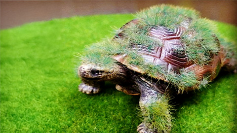 フィギュアへのフロッキー加工／苔の質感を再現