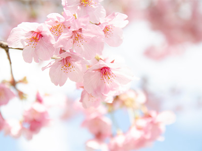 関テレドラマ「春になったら」